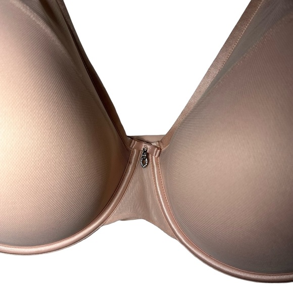 NEW with tags Sexy Sheer Mesh Plus Size Plunge T Shirt Bra 42DDD Blushing Rose - Picture 4 of 9